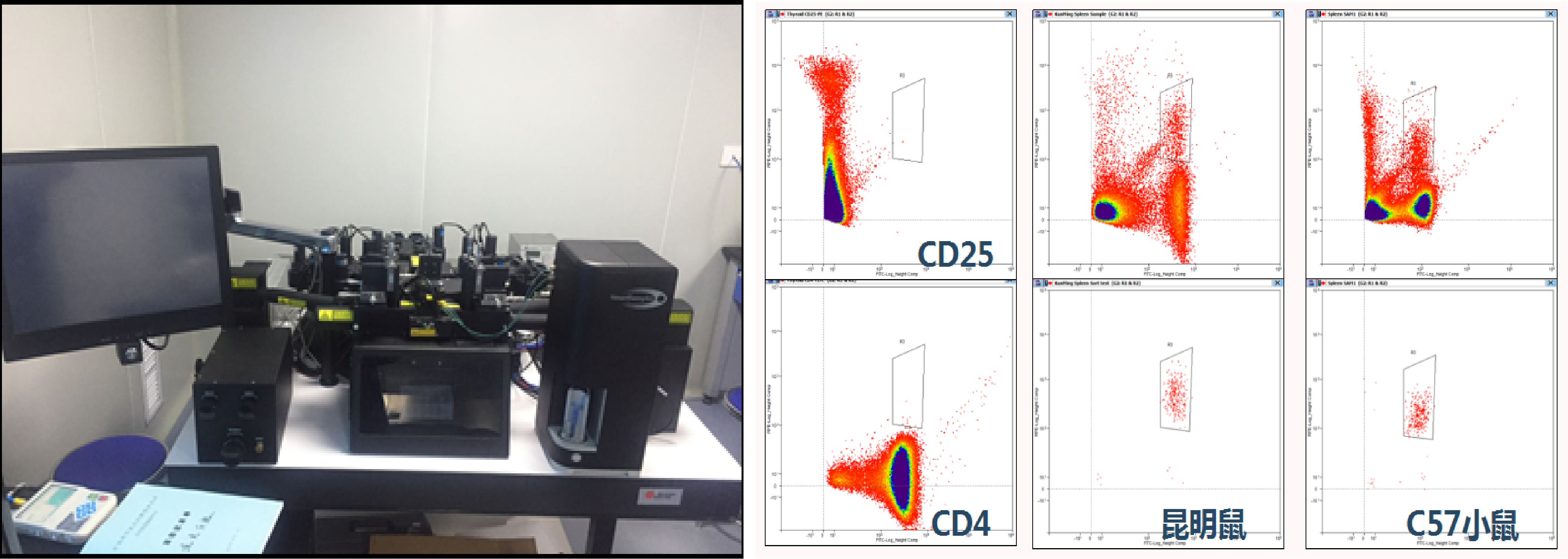 25.流式细胞分选系统.png